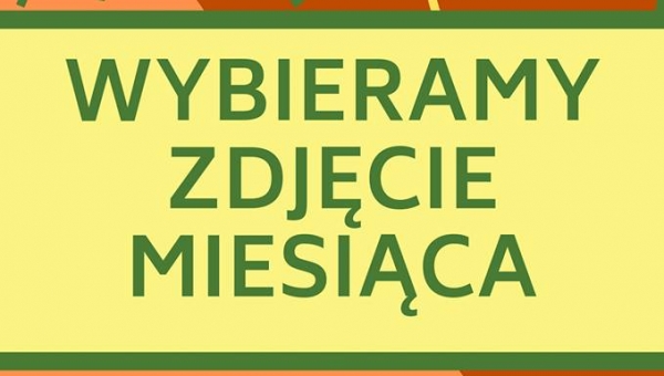WYBIERAMY ZDJĘCIE MIESIĄCA