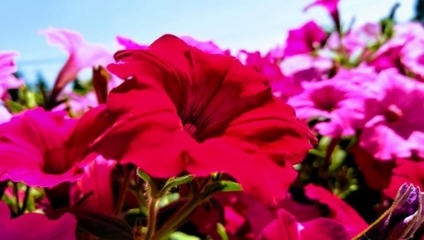 ZOBACZ ZDJĘCIA LISTOPADA