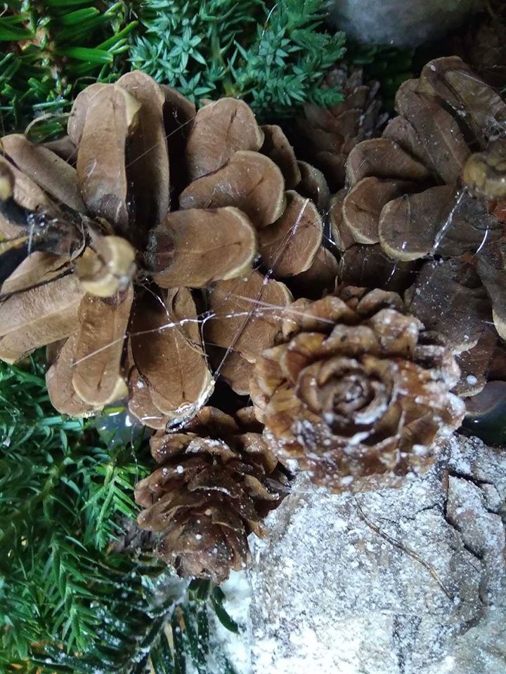 ŚWIĄTECZNE PRZYGOTOWANIA W PRACOWNI „POD GARGULCEM”