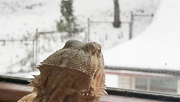 EDYCJA GRUDNIOWEGO KONKURSU FOTOGRAFICZNEGO-WYNIKI