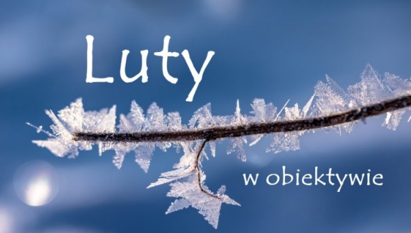 EDYCJA LUTOWEGO KONKURSU FOTOGRAFICZNEGO-WYNIKI