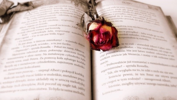 PO RAZ 25. OBCHODZIMY ŚWIATOWY DZIEŃ KSIĄŻKI I PRAW AUTORSKICH #zostanwdomu