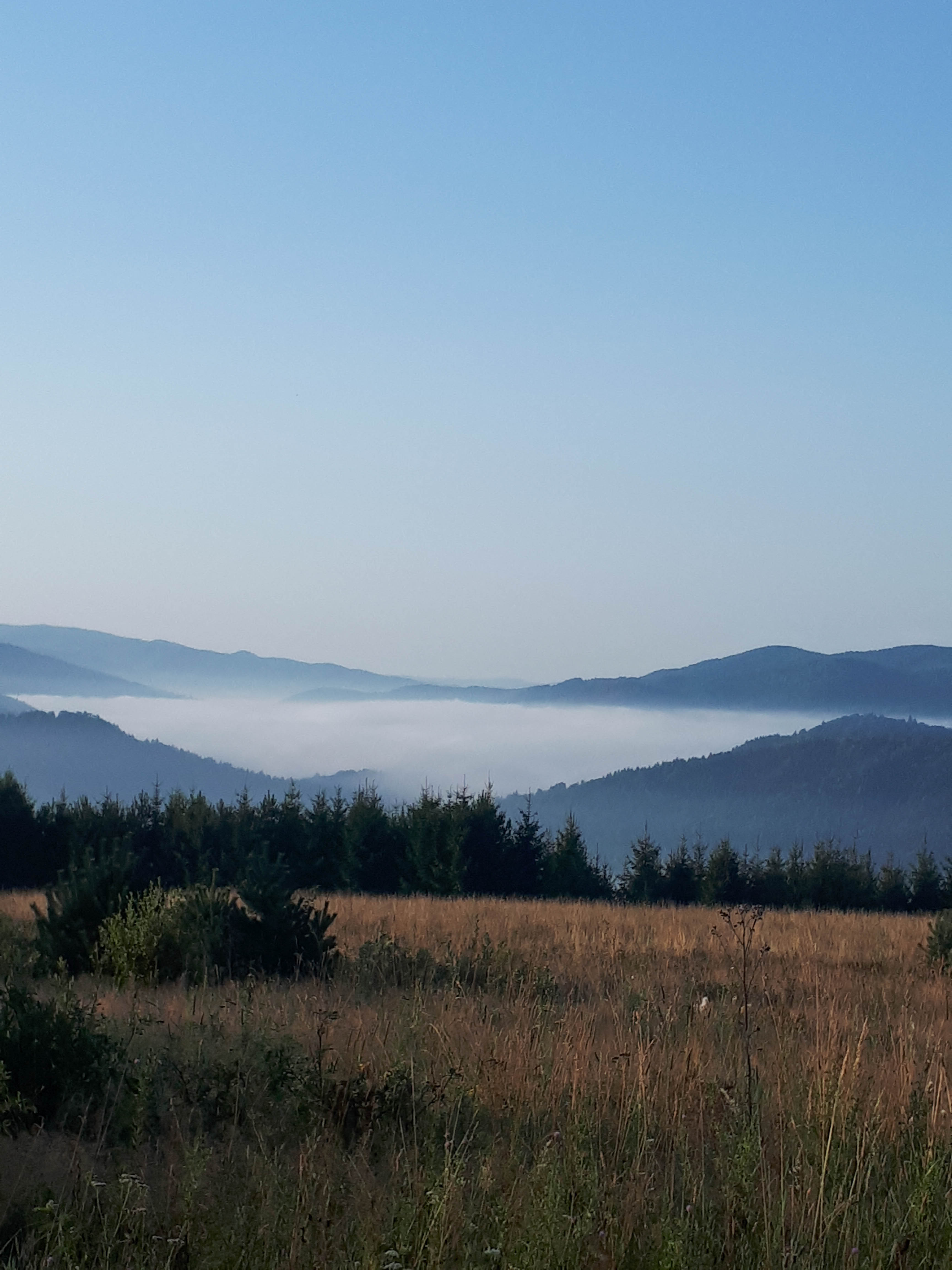OPADŁY MGŁY FOT. HALINA CISOŃ