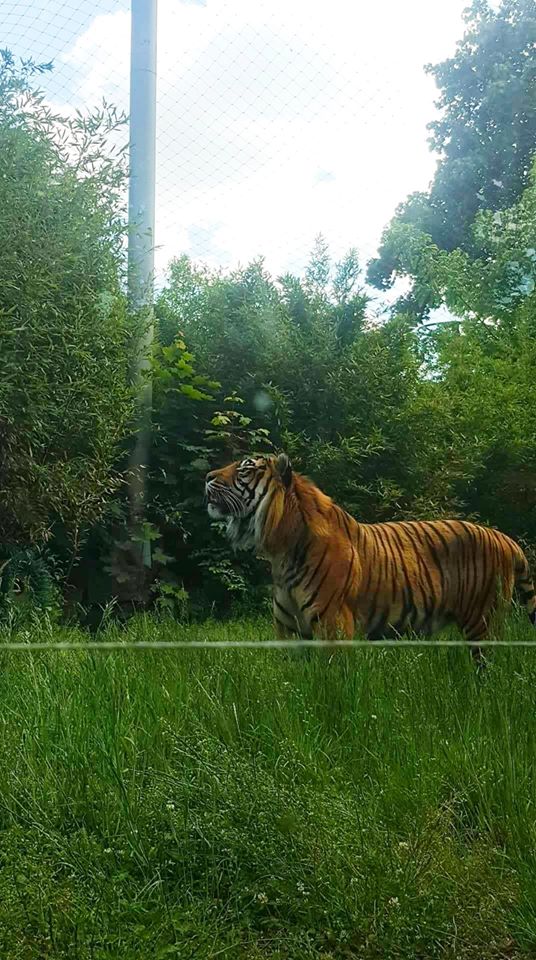 FOTO-grafia DNIA MICHAŁ KURZEJA