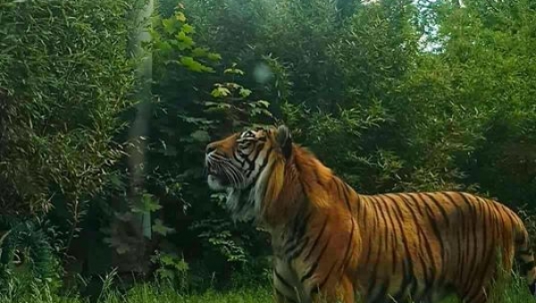 FOTO-grafia DNIA MICHAŁ KURZEJA