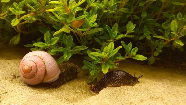 UCIECZKA DO DOMU - FOT. TADEUSZ RYŚ