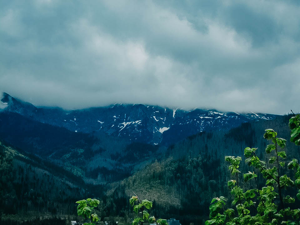 FOTO-grafia DNIA GABRYSIA CISOŃ