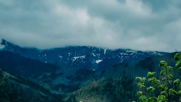 FOTO-grafia DNIA GABRYSIA CISOŃ