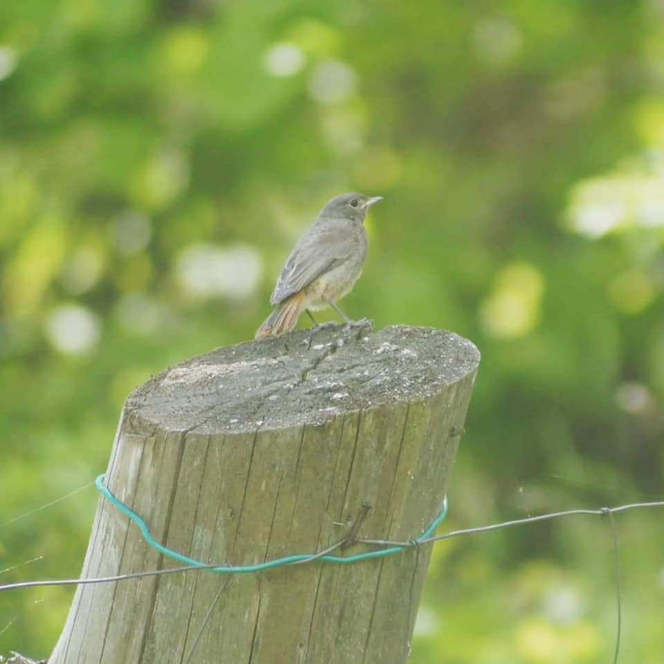 Kopciuszek w trochę innej wersji 😉 fot. Dominika Królczyk