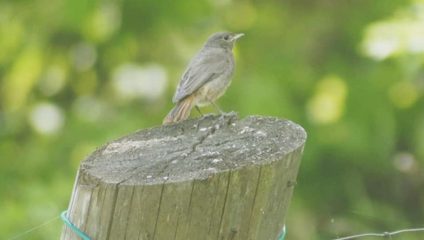 Kopciuszek w trochę innej wersji 😉 fot. Dominika Królczyk