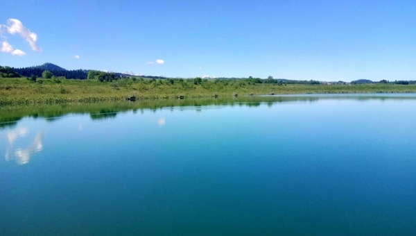 FOTO-grafia DNIA FOT. RAFAŁ KRZYSZKOWSKI