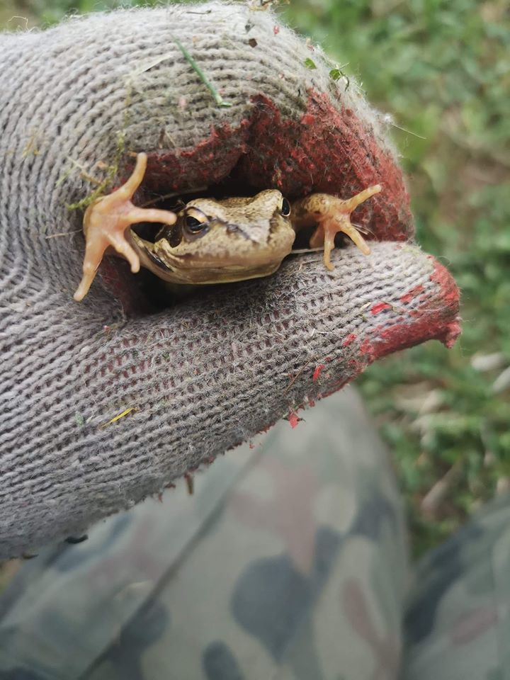 📸FOTO-grafia DNIA 📸 fot. Wojciech Turek ❤️❤️❤️