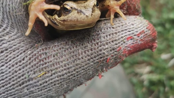 📸FOTO-grafia DNIA 📸 fot. Wojciech Turek ❤️❤️❤️