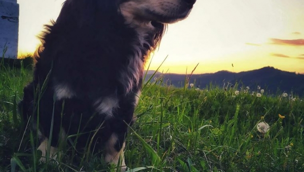 📸FOTO-grafia DNIA 📸 Zdjęcie Dominika Królczyk ❤️❤️❤️