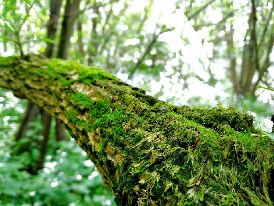 📸FOTO-grafia DNIA 📸 fot.Krzysztof Bieniek ❤️❤️❤️