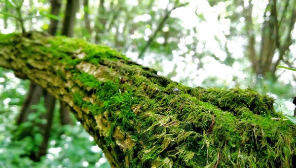 📸FOTO-grafia DNIA 📸 fot.Krzysztof Bieniek ❤️❤️❤️