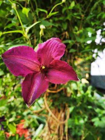 Dzisiaj fot. Pani Edyta Szota