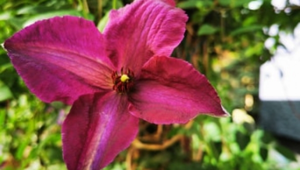 Dzisiaj fot. Pani Edyta Szota