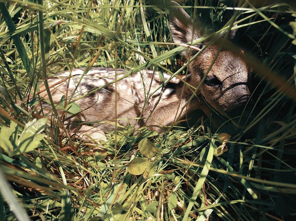 Kochane maleństwo   fot. Karolina Dudek