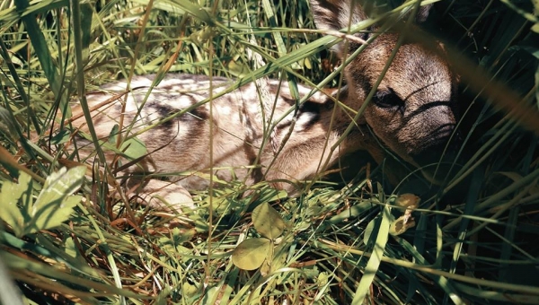 Kochane maleństwo   fot. Karolina Dudek