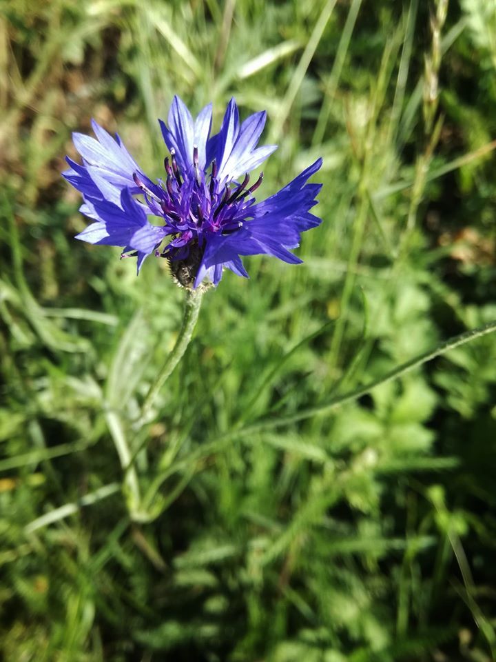 📸FOTO-grafia DNIA 📸 fot. Ewelina Lichoń ❤️❤️❤️