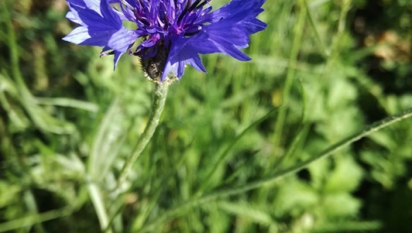 📸FOTO-grafia DNIA 📸 fot. Ewelina Lichoń ❤️❤️❤️