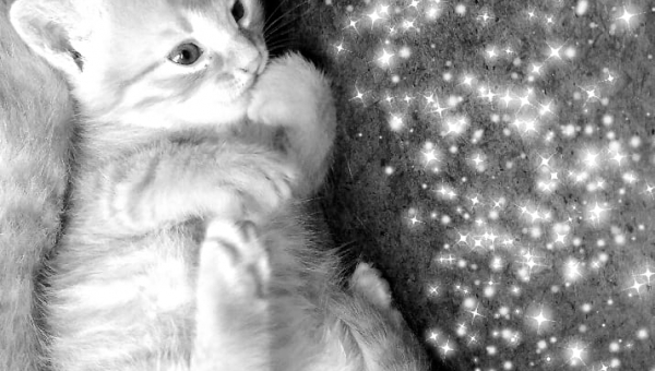 Słodziak 😍🥰fot. Karolina Dudek