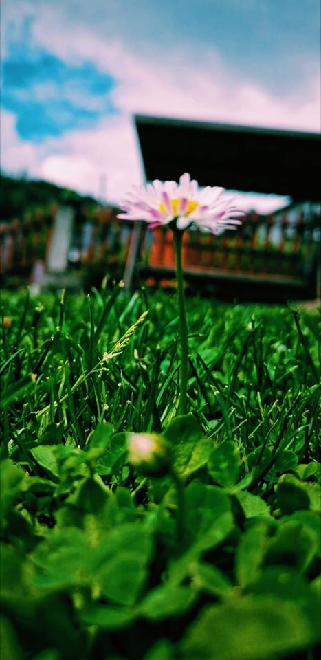 📸FOTO-grafia DNIA 📸 fot.Roksana Gołdyn ❤️❤️❤️