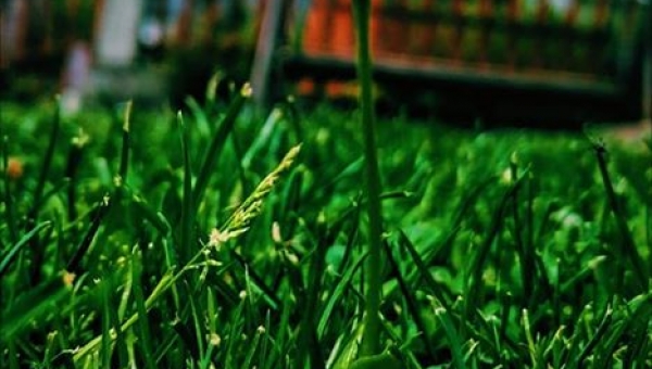 📸FOTO-grafia DNIA 📸 fot.Roksana Gołdyn ❤️❤️❤️