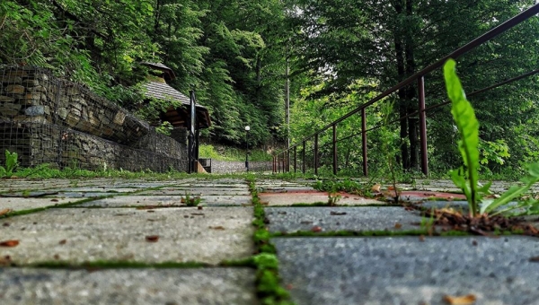 FOTO-grafia DNIA   fot. Magdalena Lis ❤️❤️❤️