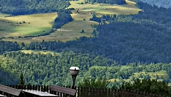 📸W OBIEKTYWIE RODZICA📸 fot. Pani Edyta Szota