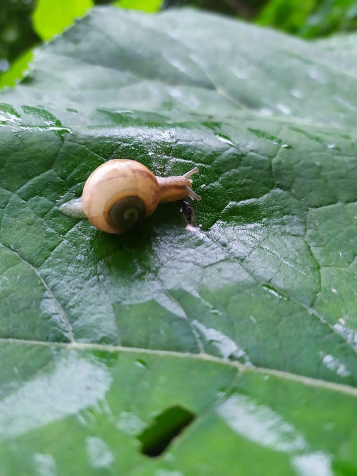 FOTO-grafia DNIA  fot.Dominika Królczyk❤️❤️❤️