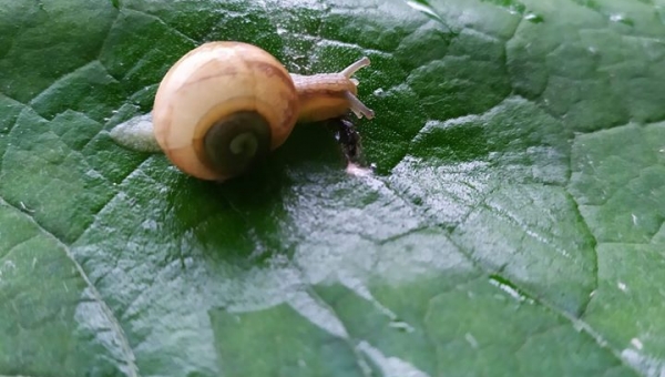FOTO-grafia DNIA  fot.Dominika Królczyk❤️❤️❤️
