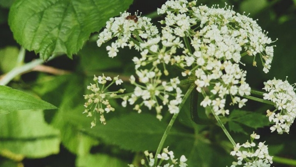 📸FOTO-grafia DNIA  fot. Oleksandr Shpakivskyi ❤️❤️❤️