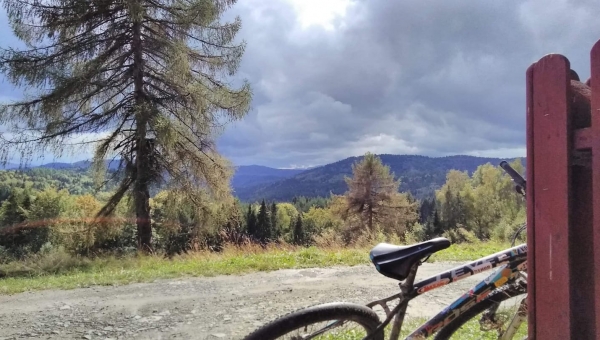 FOTO-grafia DNIA  fot.  Mateusz Leśniak❤️