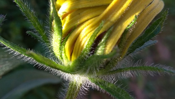 Z pozdrowieniami dla nauczycieli - Tadeusz Ryś