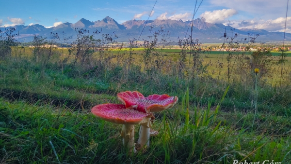 "W obiektywie rodzica" fot.Robert Górz