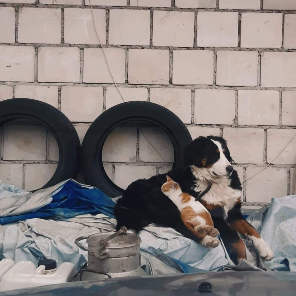 FOTO-grafia DNIA fot. Karolina Dudek