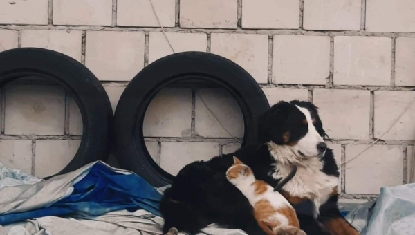 FOTO-grafia DNIA fot. Karolina Dudek