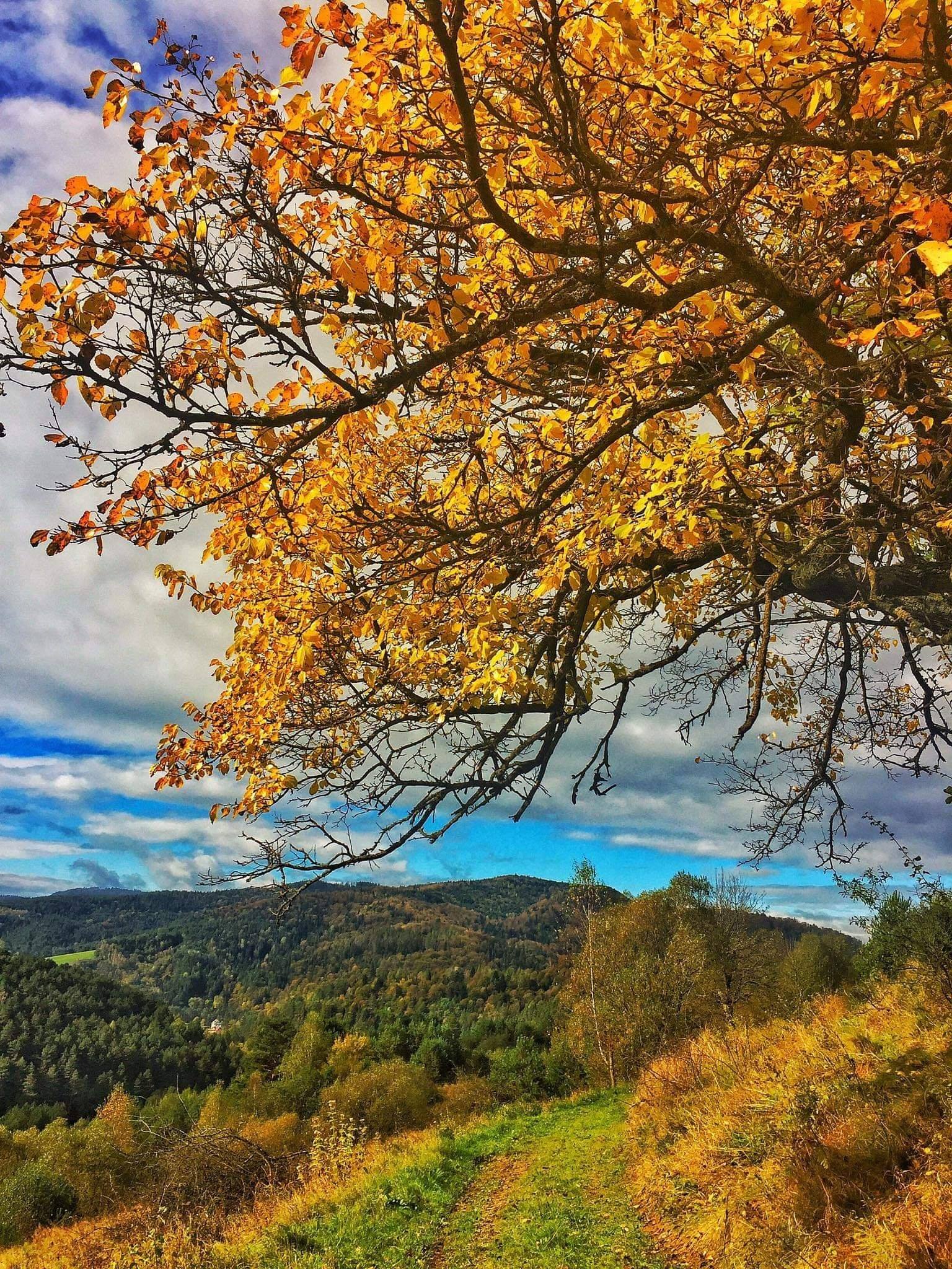 FOTO-grafia DNIA fot. Julka Ryś 