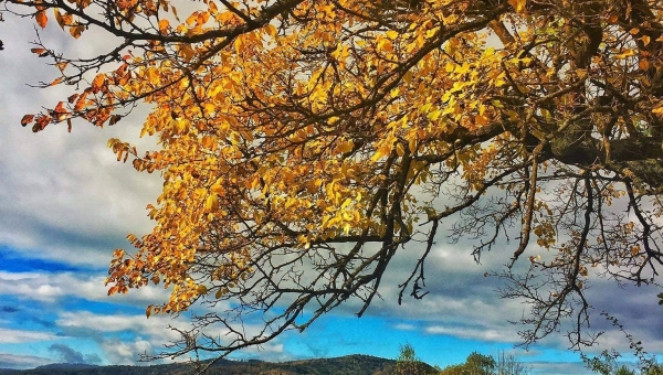 FOTO-grafia DNIA fot. Julka Ryś 