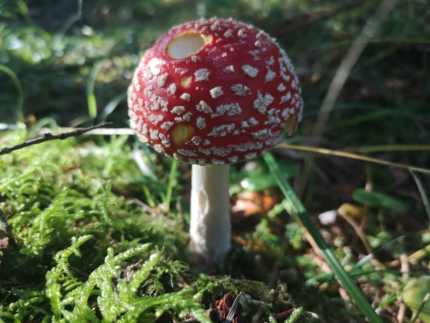 FOTO-grafia DNIA fot.Wojtek Turek