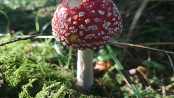 FOTO-grafia DNIA fot.Wojtek Turek