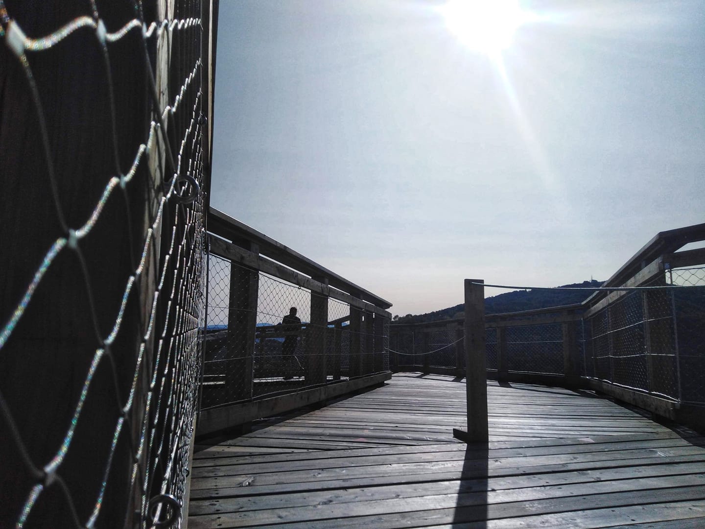 FOTO-grafia DNIA fot.Patrycja Obrzud  #zostanwdomu