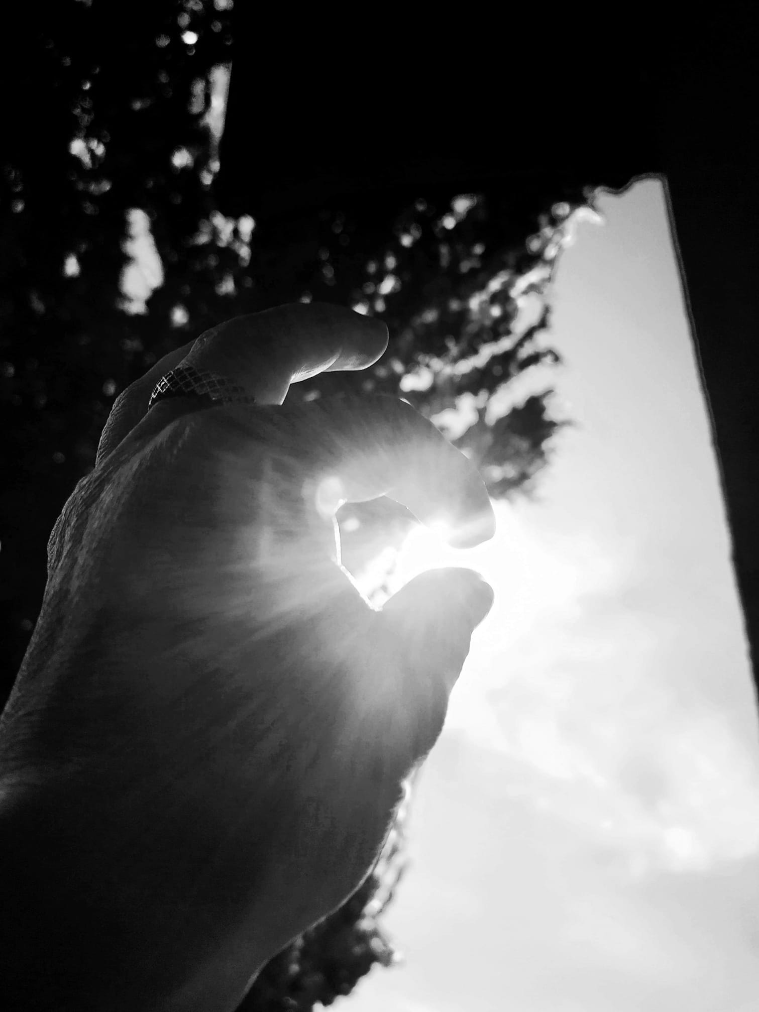 FOTO-grafia DNIA fot. Danuta Nowak  #zostanwdomu