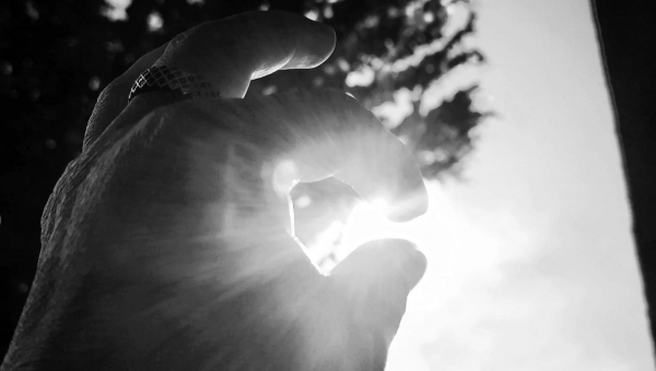 FOTO-grafia DNIA fot. Danuta Nowak  #zostanwdomu