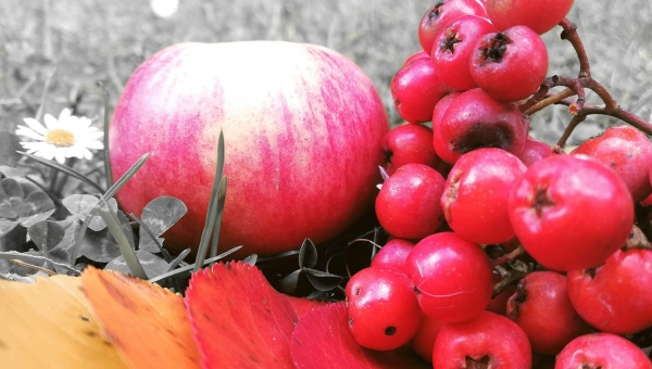 FOTO-grafia DNIA fot.Natalia Stopiak  #zostanwdomu