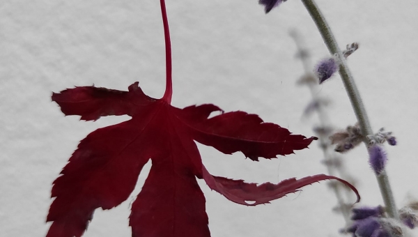 "W obiektywie rodzica" fot.Tadeusz Ryś #zostanwdomu