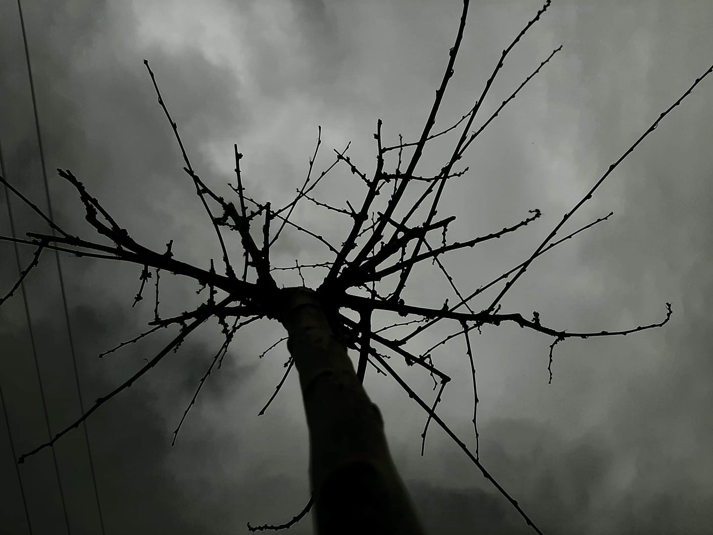 FOTO-grafia DNIA fot. Szymon Garbacz #zostanwdomu