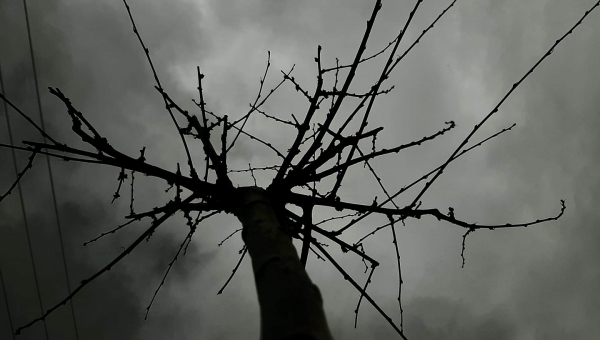 FOTO-grafia DNIA fot. Szymon Garbacz #zostanwdomu